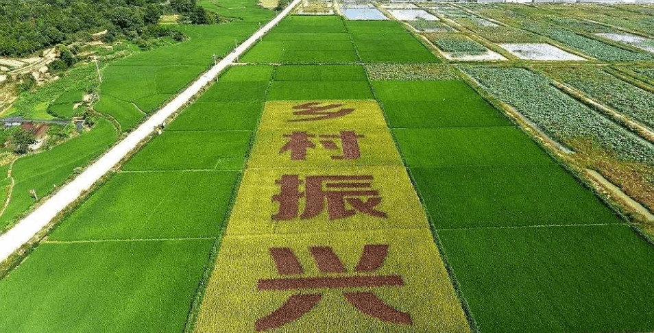 人民日?qǐng)?bào)“鄉(xiāng)村振興計(jì)劃”為何看上他？_直播_行業(yè)_農(nóng)產(chǎn)品